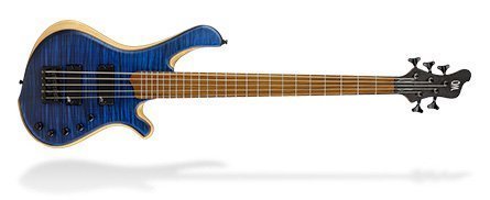 Mayones Guitars & Basses Hydra Series