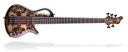 Mayones Guitars & Basses Hydra Series