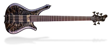 Mayones Guitars & Basses Hydra Series