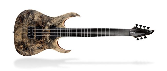 Mayones Guitars & Basses Hydra Series