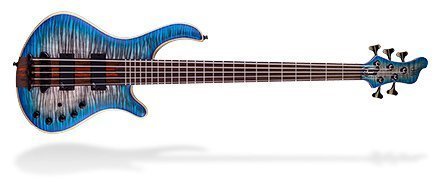 Mayones Guitars & Basses Hydra Series