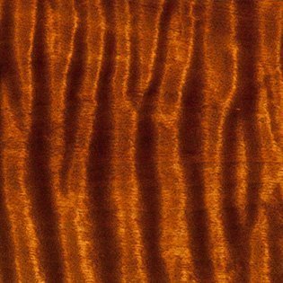 Transaprent Brown - Flamed Alder