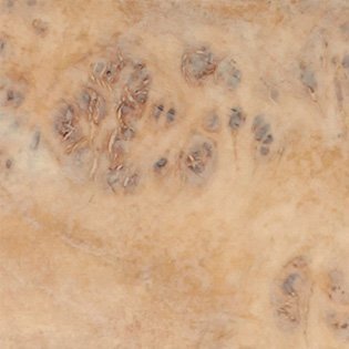 Trans White (Eye Poplar)