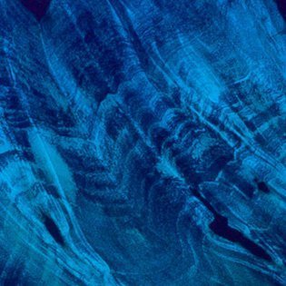 Trans Blue (Buckeye Burl)