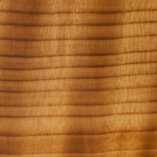 Curly Redwood